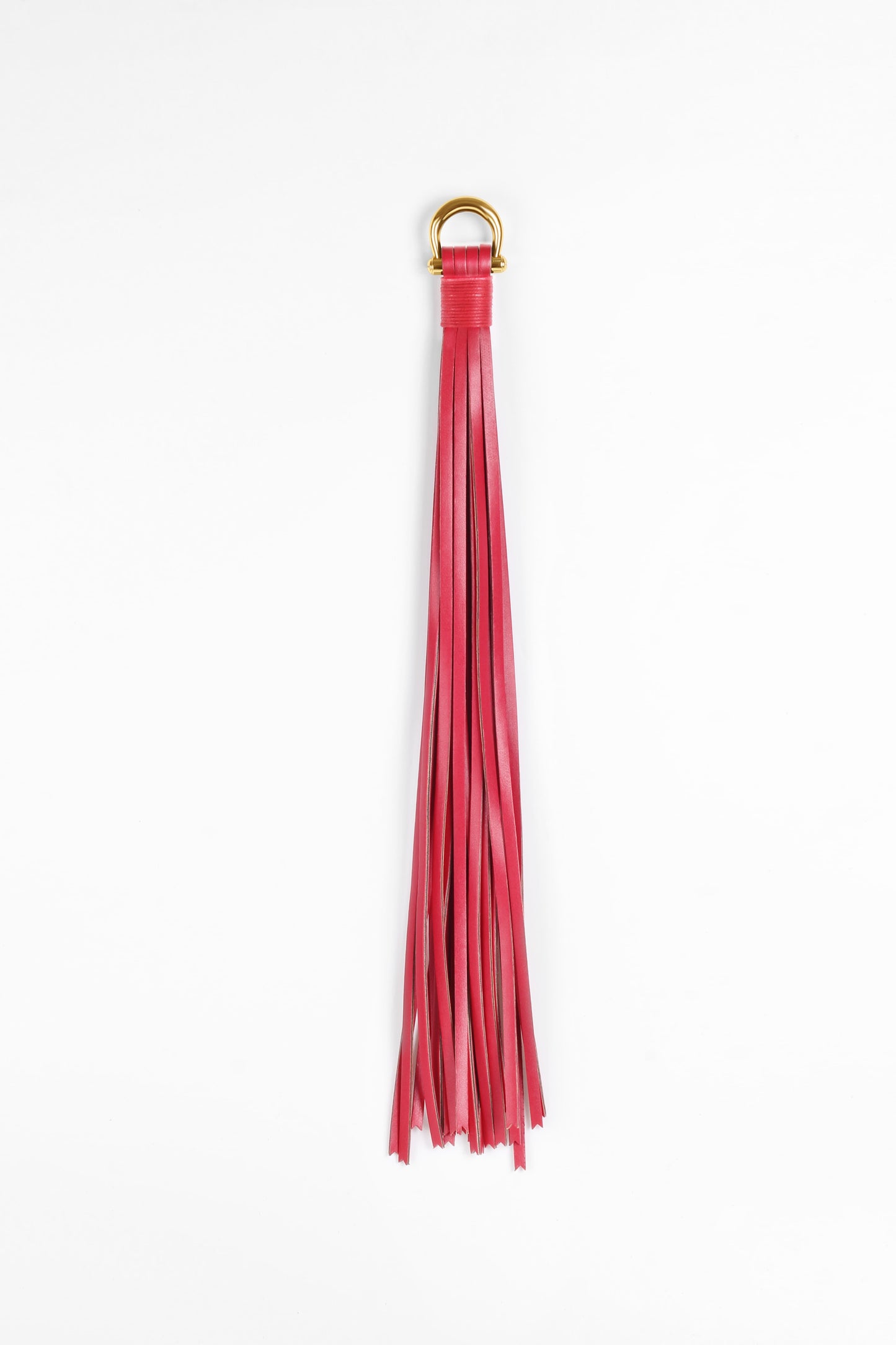 Tassel Leather Flogger